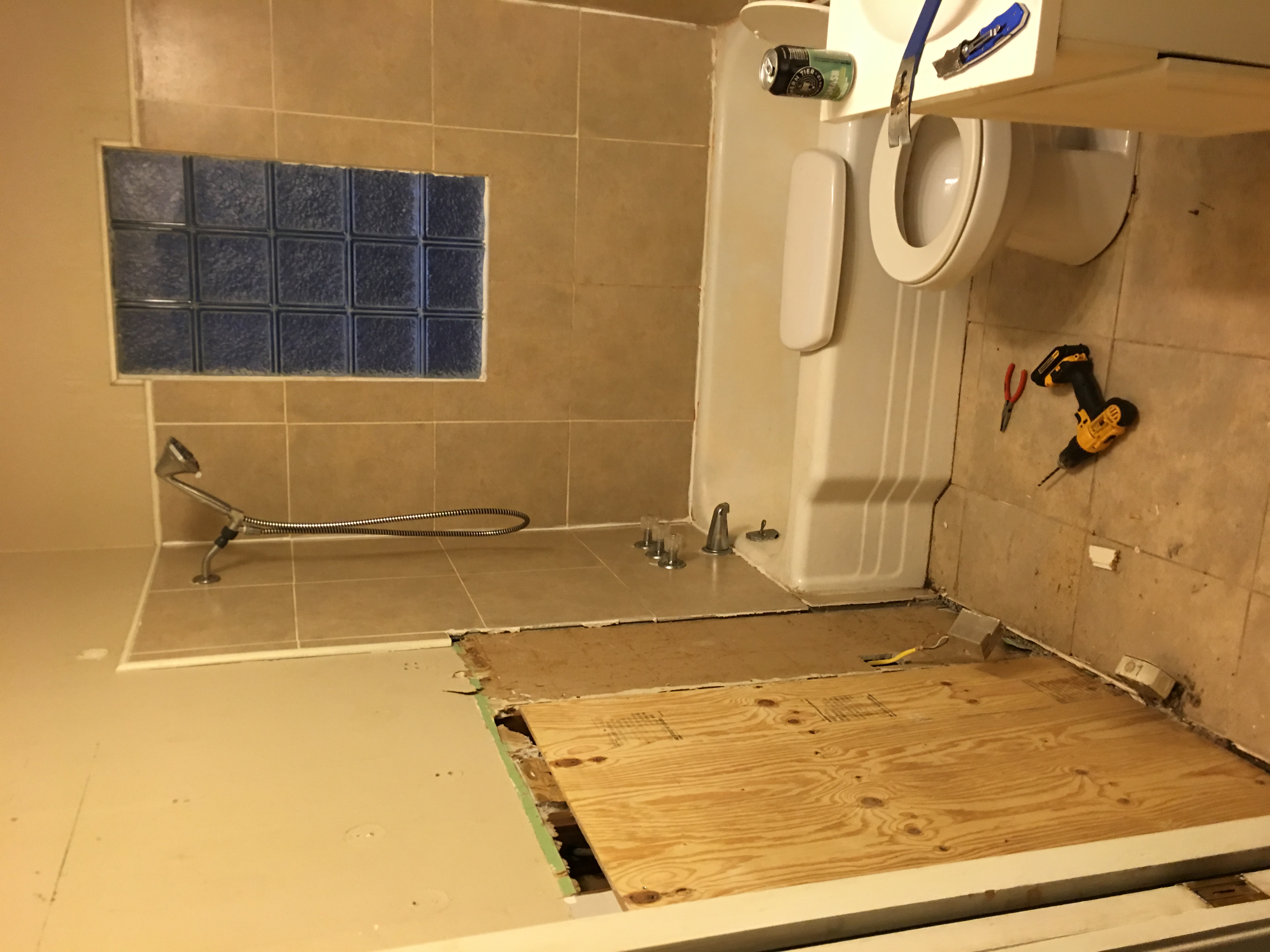 Bathroom demo — walls opened up and torn out