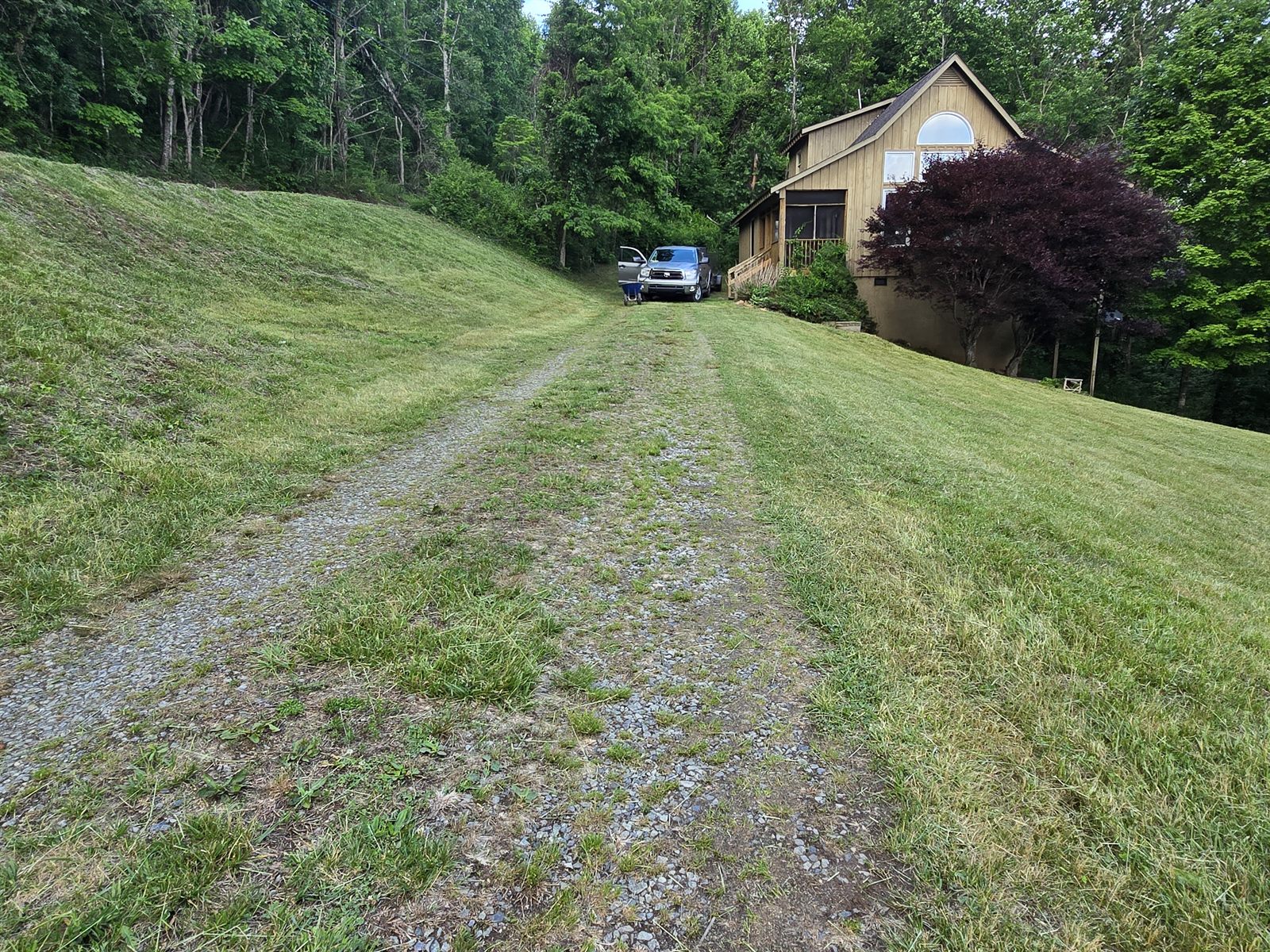 Hillside after — cleanly mowed slope and driveway